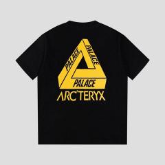 Arcteryx T Shirt tlt