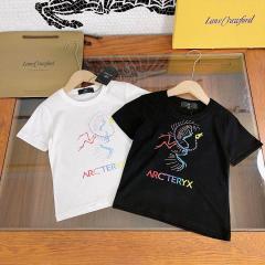 Arcteryx sz100-160 11