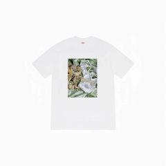 Supreme S-XL mdtrM819